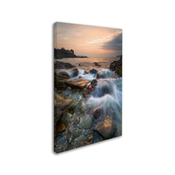 Mathieu Rivrin 'Story Of A Wave' Canvas Art,22x32